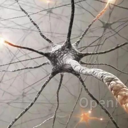 自我监督模型中的神经活动与网格细胞成相似模式