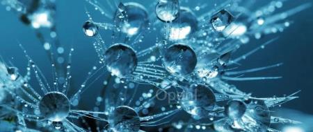 改进分子表征学习,清华团队提出知识引导的图 Transformer 预训练框架