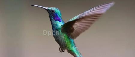 爱立信被曝裁掉整个广州研发团队:赔偿N+3加年终奖;英伟达将为中国定制三款芯片;马斯克旗下首款聊天机器人将开源 | AI一周资讯