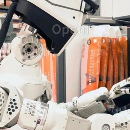 吴佳俊、李飞飞联合大作！提出全新脑机系统，用大脑操控机器人帮你做家务，要照进现实啦！