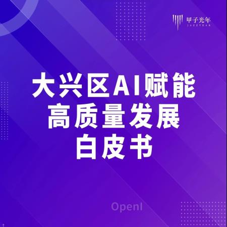 《大兴区AI赋能高质量发展白皮书》发布演讲实录|甲子光年智库