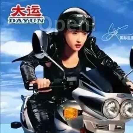 入局造车的大运摩托,再无「风驰天下」的机会