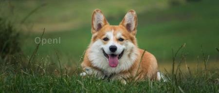 蔚来技术岗员工贷款买自家品牌车仍被裁;李彦宏:文心一言调用量比国内两百家大模型还多;原vivo中国区总裁丁燚离职|A一周资讯