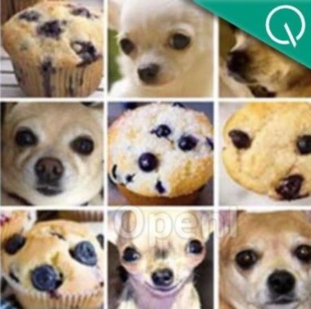 GPT-4作弊被抓!吉娃娃or松饼打乱顺序就出错,LeCun:警惕在训练集上测试