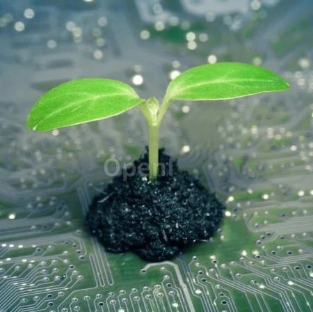 最新调查:AI大模型的两大难题,要靠“绿色计算”来解决?