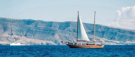 AIGC是亏钱货?网易杭研是如何抓住大模型价值的