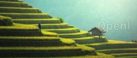 阳光保险自研"正言"大模型，已应用于寿险和车险销售等场景