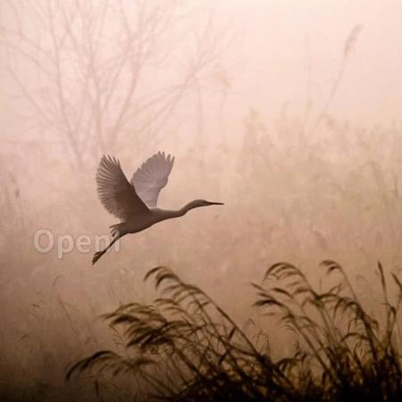 招商银行如何利用AI提升审查效率和准确率?