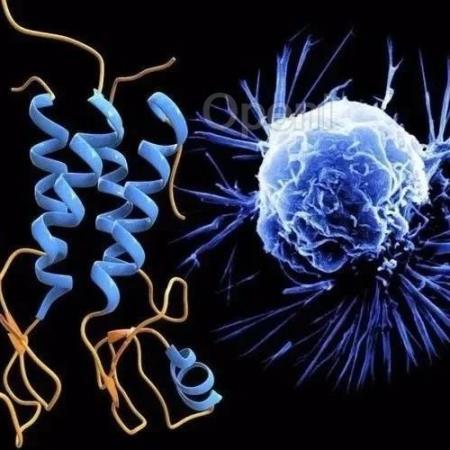 适者生存？新的研究显示了癌细胞是如何利用细胞竞争来逃避身体防御的