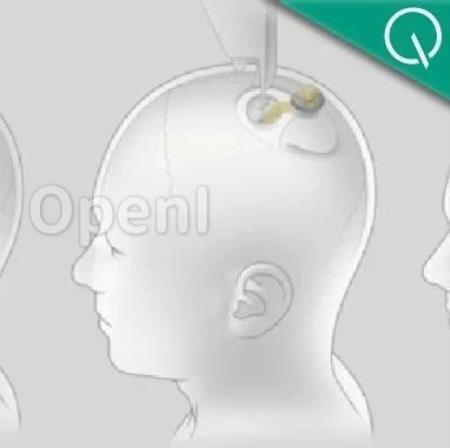 马斯克最新芯片:脑机专用,让失明人群“看见”