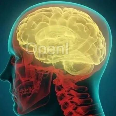 一个框架整合大脑理论 6 语言产生的机制 agent的语言及交流是如何产生的？