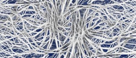 深度网络数据编码新突破,上交大SPARK登上计算机体系结构顶会