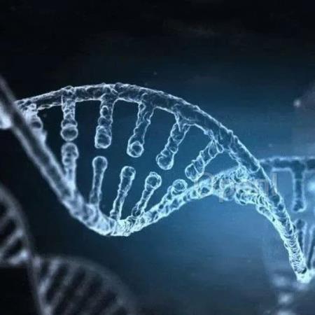 分类性能提高 10%,港中大团队利用大型蛋白质语言模型发现未知的信号肽