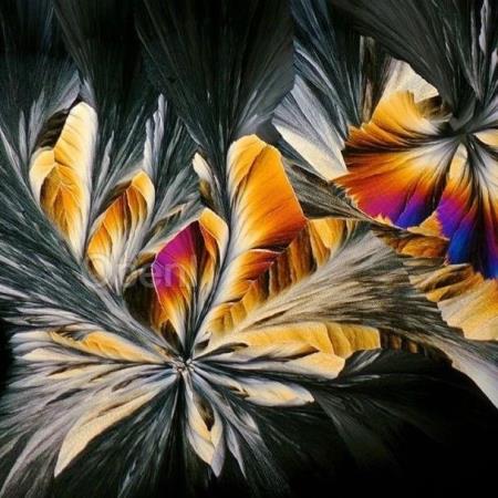 Google AI 发现了 220 万种科学未知材料