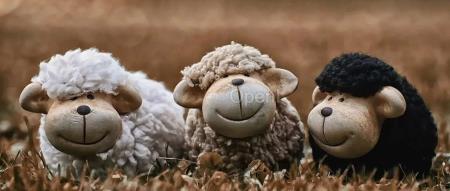 AIGC 算法揭秘及产业落地应用分享