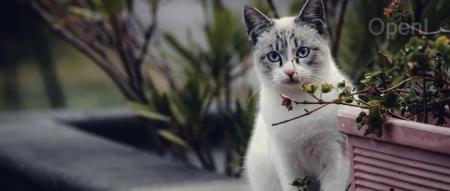 谷歌Gemini自曝用百度文心一言训练；淘天集团管理团队全部换血；马斯克X平台再次遭遇全球性宕机 | AI一周资讯