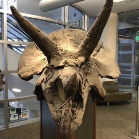 分割一切「3D高斯」版来了：几毫秒完成3D分割、千倍加速