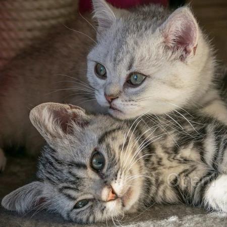 百川发布全新Baichuan2-Turbo系列API产品:构建“大模型+搜索增强”技术栈,解决99% 定制化需求