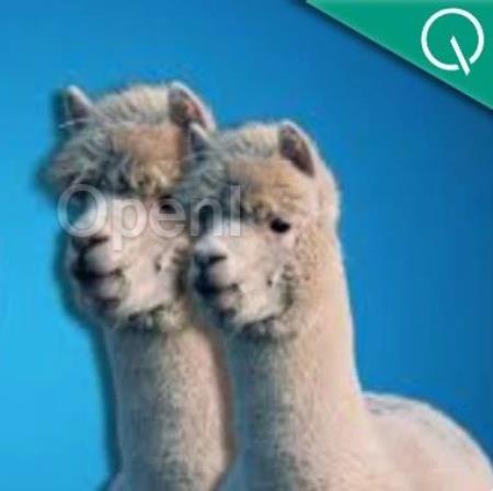 两只羊驼掐头去尾拼一起,屠榜HuggingFace