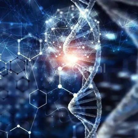 技经观察丨探索GenAI在生命科学领域的价值：从预测到创造