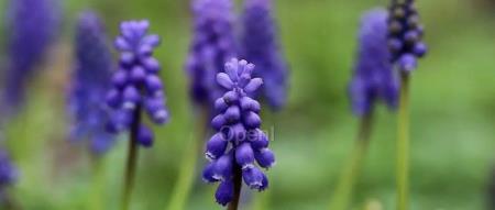 英伟达成为人工智能公司主要投资者:条件是必须使用英伟达产品