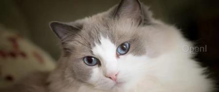 银行工程师离职删库，被判两年监禁；华为做得好被指因为“财散人聚”机制；GPT-4.5被疑定价是GPT-4的6倍｜AI一周资讯