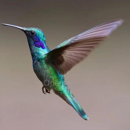 来 QCon15 周年上海站,看大模型技术应用展,共探 AI 技术新未来