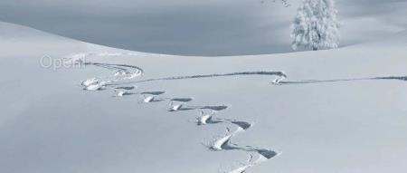 英特尔高宇:AI 工作负载有多种形态和规模,硬件上没有一刀切的解决方案