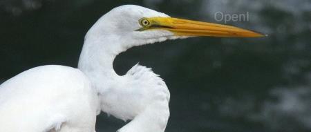 又一文件存储技术落地中国市场!支持跨云数据复制和备份