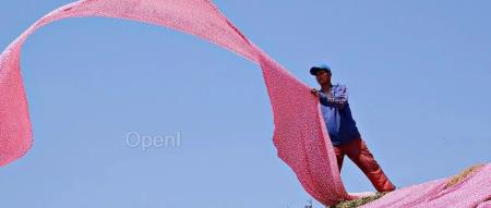 ChatGPT出现后,我决定以后砸锅卖铁都不让后代当程序员了