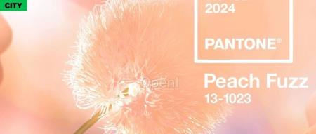 PANTONE 公布 2024 年度代表色,治愈整个 2023