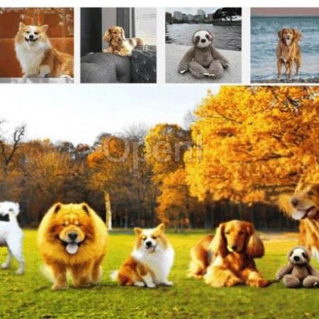 再也不怕合照缺人,Anydoor为图片编辑开了一道「任意门」