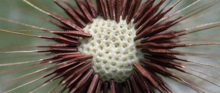 大模型+多模态的3种实现方法|文末赠书