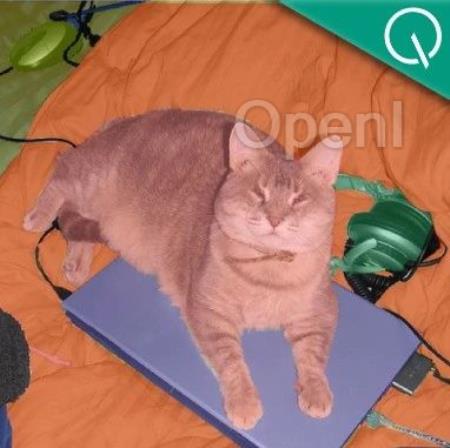 字节多模态大模型PixelLM：高效像素级推理，无需依赖SAM