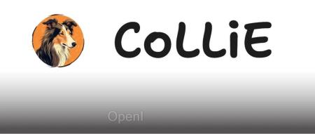 国货之光,复旦发布大模型训练效率工具 CoLLiE,效率显著提升