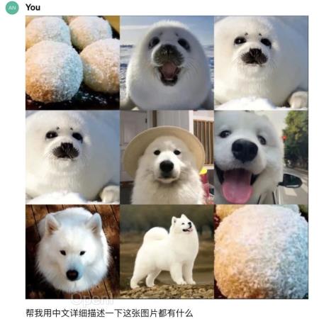 GPT-4V“大翻车”!把海豹识别成狗!分不清炸鸡和泰迪,葫芦娃也数不明白...