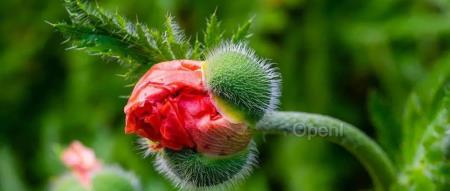 英特尔 AI PC 国内落地：联想主力出货机型内嵌混合 AI 算力