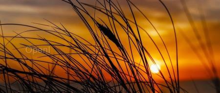 谷歌或将开启新一裁员？3 万员工的饭碗可能被 AI 抢走