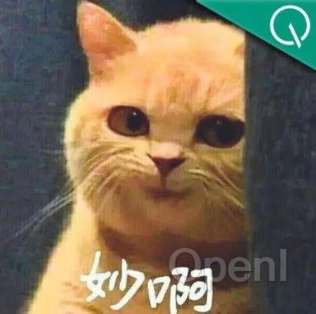 多模态大模型学杂了能力反下降?新研究:MoE+通用专家解决冲突