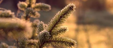 大模型在金融领域找到“业技融合”的最佳路径了吗？