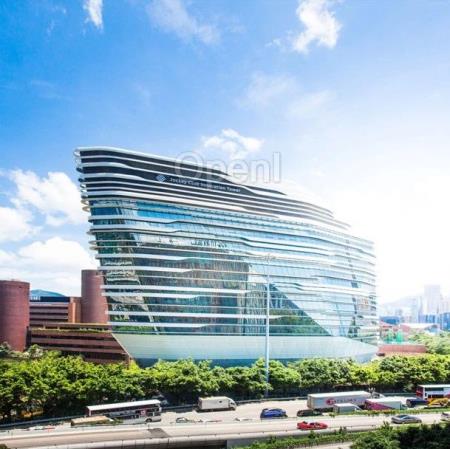 香港理工大学 MIND 实验室招收 EEG 信号处理和语音增强方向全奖博士生/博士后