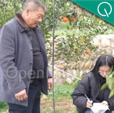 在四川，他们和丹棱“果王”这样一起搞科研