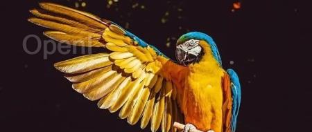 零一万物发布Yi-VL多模态语言模型并开源,测评仅次于GPT-4V