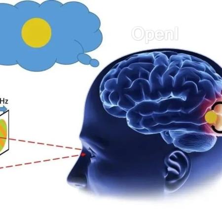 Nature Neuroscience | 感知与记忆间的拉锯战