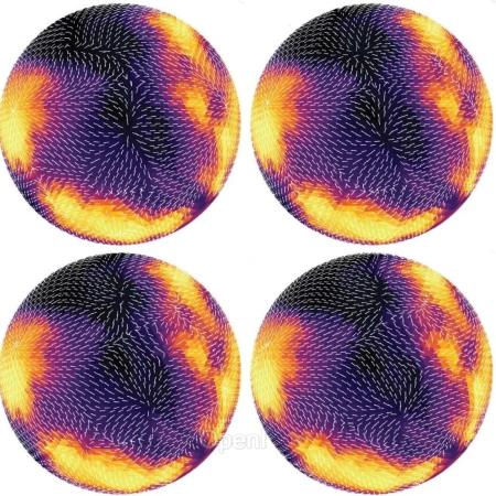 Neuron 前沿进展:大脑皮层自上而下活动传播的发育