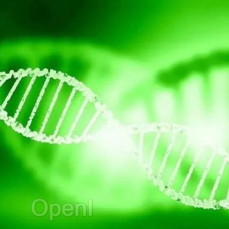 生命是什么?从量子物理学家的角度来回答