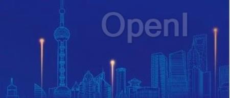 中国大模型,产业落地这一年