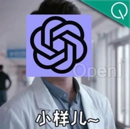 GPT-4找到我女朋友的过敏原