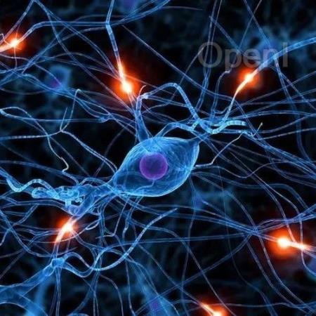 《Science》突触形成的机制