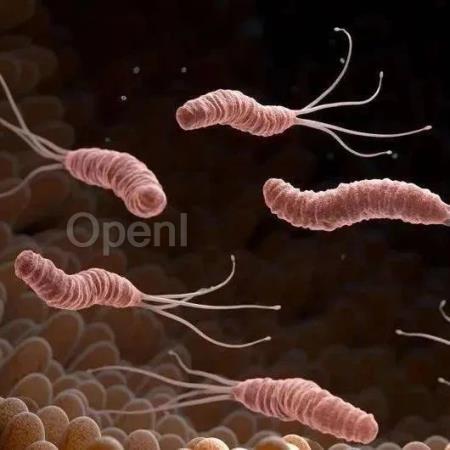 纽约大学Nature发文：转录—复制相互作用谱